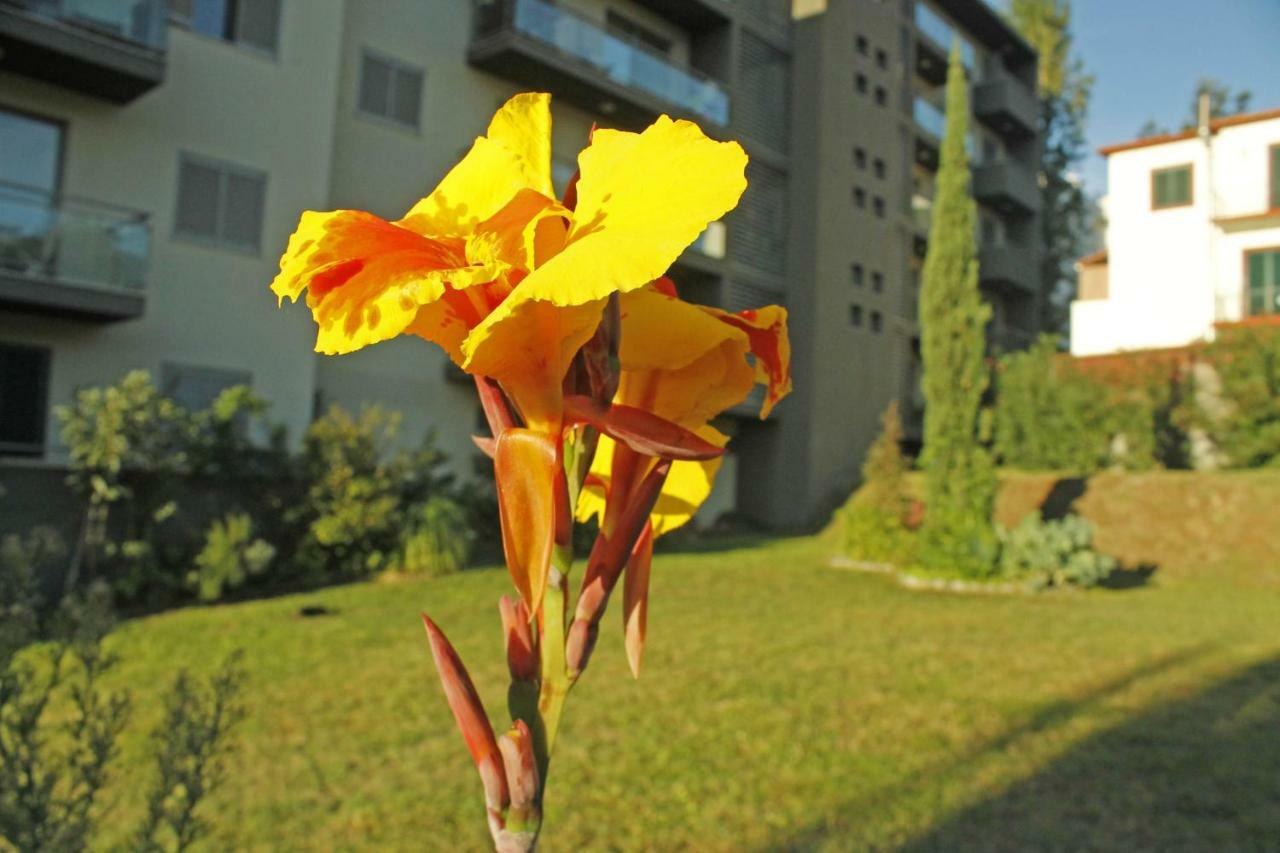 Rochas Shared Apart Garden Refuge ฟุงชาล ภายนอก รูปภาพ