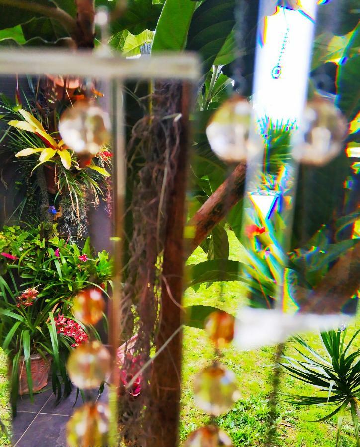 Rochas Shared Apart Garden Refuge ฟุงชาล ภายนอก รูปภาพ